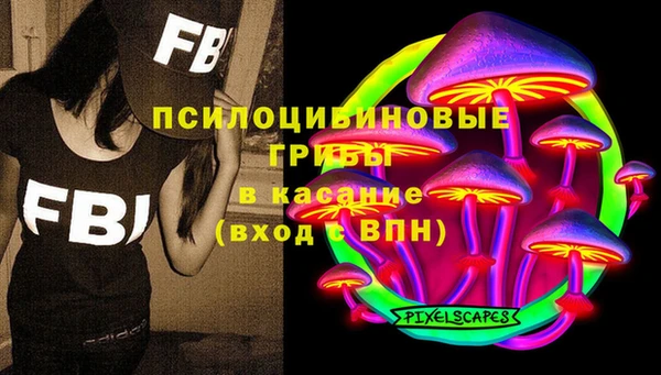 хмурый Бронницы