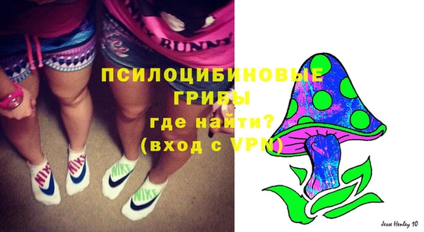 гидра Бугульма