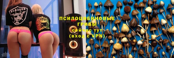 гидра Бугульма