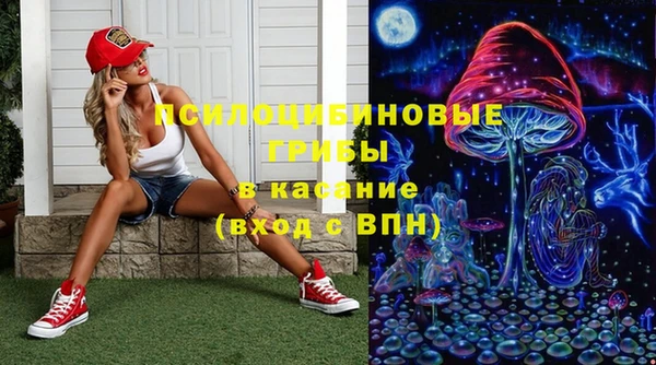 гидра Бугульма